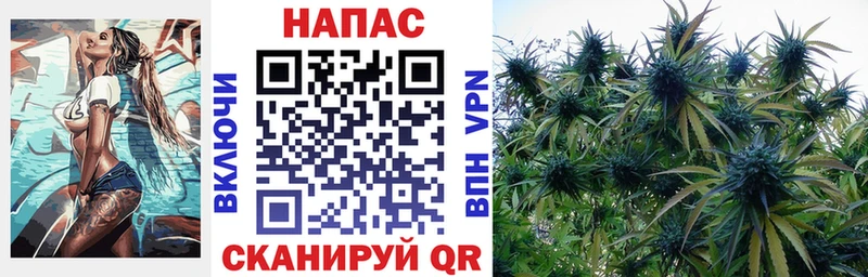 Каннабис семена  закладка  Гаджиево 